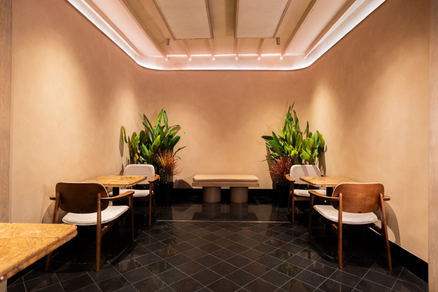 The main room on the ground floor, with a lit timber ceiling, plants and wooden chairs